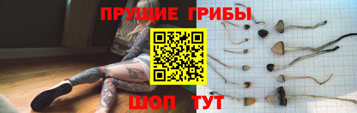 Псилоцибиновые грибы GOLDEN TEACHER  Вход с VPN  Миасс 